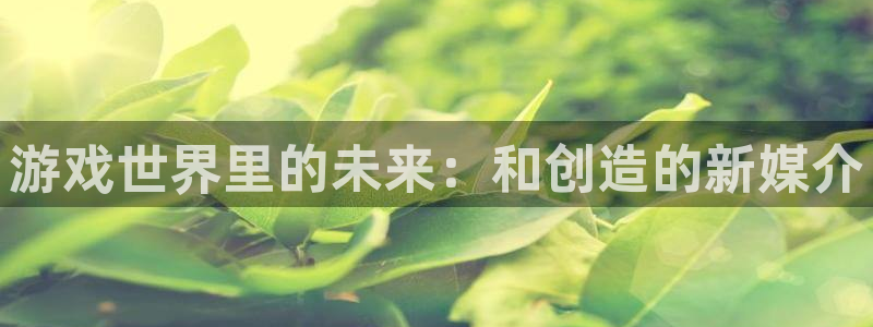 游艇会网址怎么打不开了
