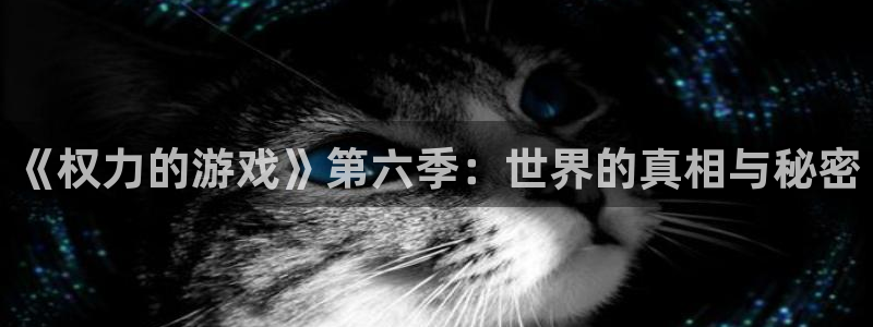 游艇会是什么意思?